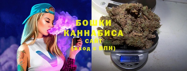 прущая мука Нея