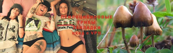 прущая мука Наволоки