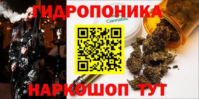 винт Гатчина