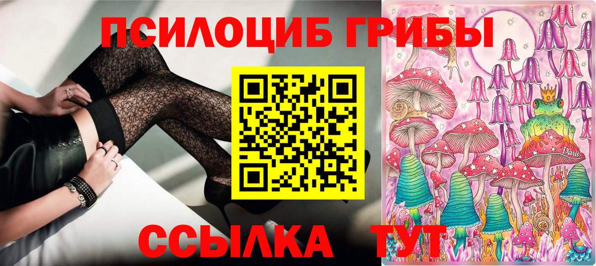 Галлюциногенные грибы ЛСД  Знаменск  Псилоцибиновые грибы мицелий 